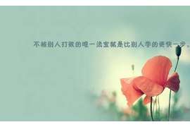 沈丘私家调查